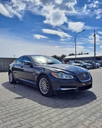 Jaguar XF cena 7800 przebieg: 150437, rok produkcji 2010 z Lesko małe 154